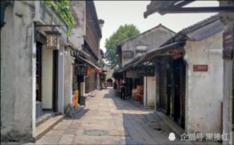 让红薯成为致富“金饽饽”——辛店镇南王庄村红薯产业发展印象